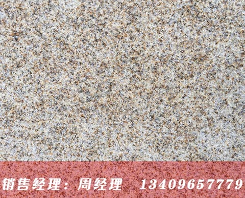 ���S�S������֦��