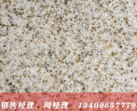 �����S������֦��