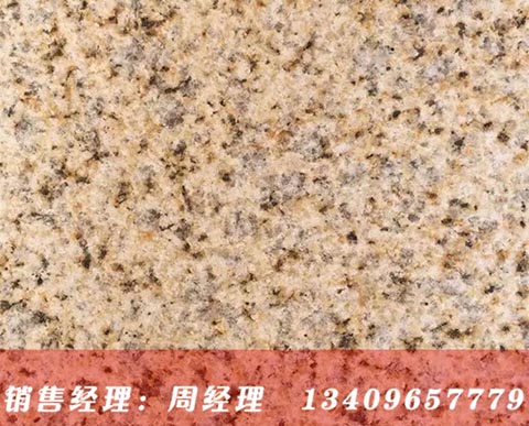 �����S�������