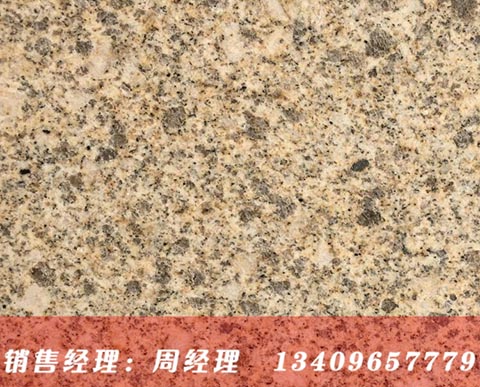 黃金麻卡基諾金